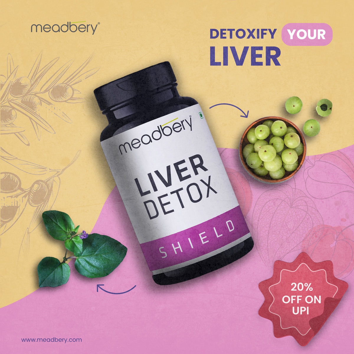 Meadbery Liver Detox A Holistic Journey To Heal Non Alcoholic Fatty L